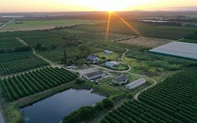 Lowergroen Guest Farm, Working Farm